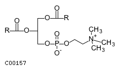C00157