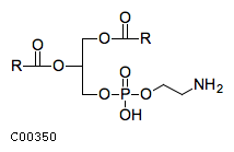 C00350