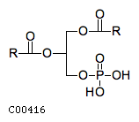 C00416