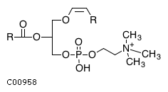 C00958