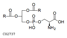 C02737