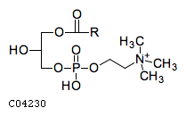 C04230