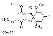 C06686