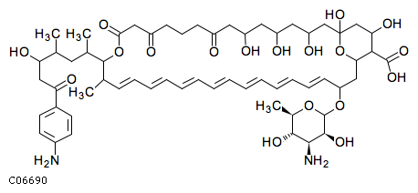 C06690