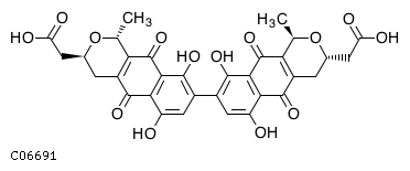 C06691