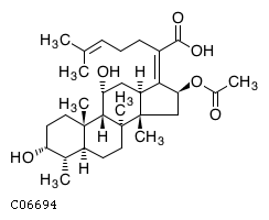 C06694