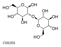 C08250