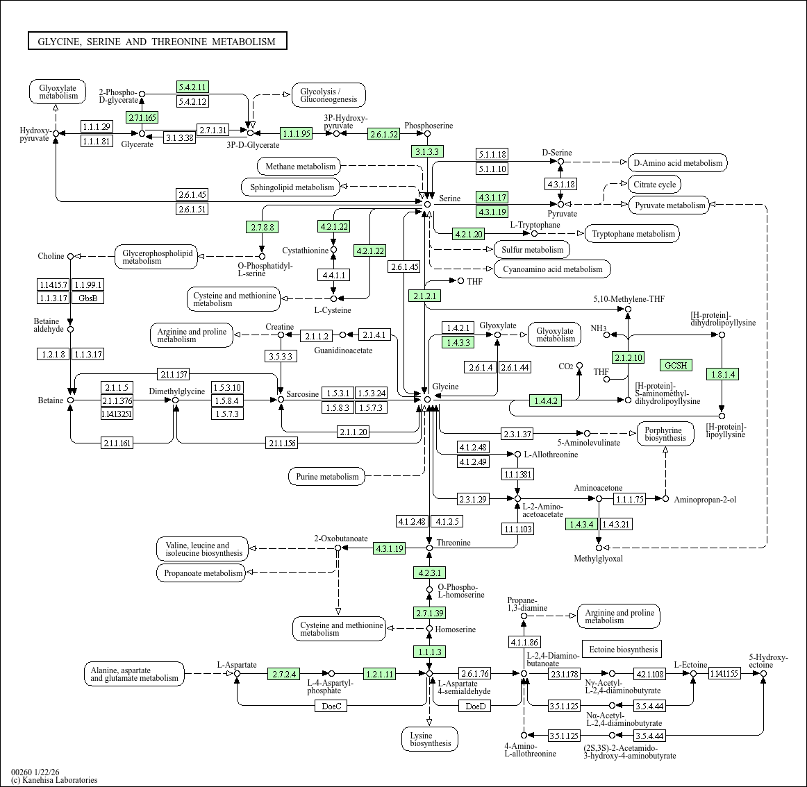 Glycine, serine and threonine metabolism