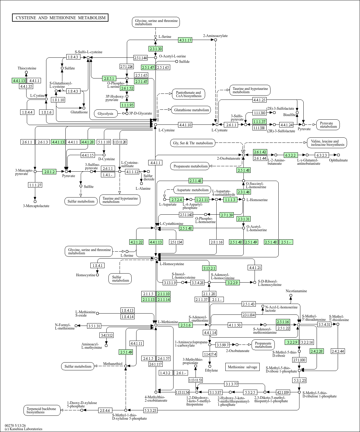 Cysteine and methionine metabolism
