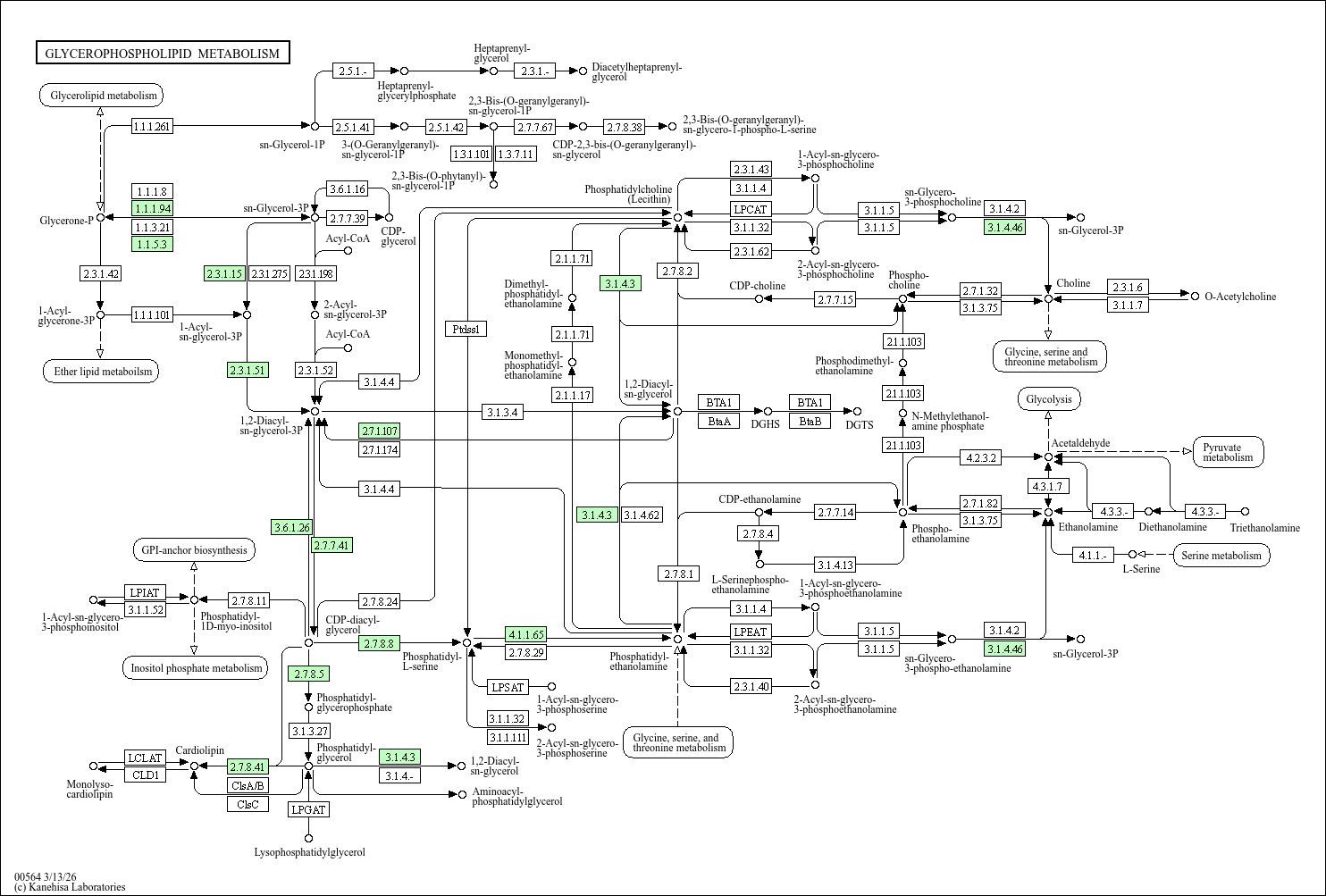 Glycerophospholipid metabolism
