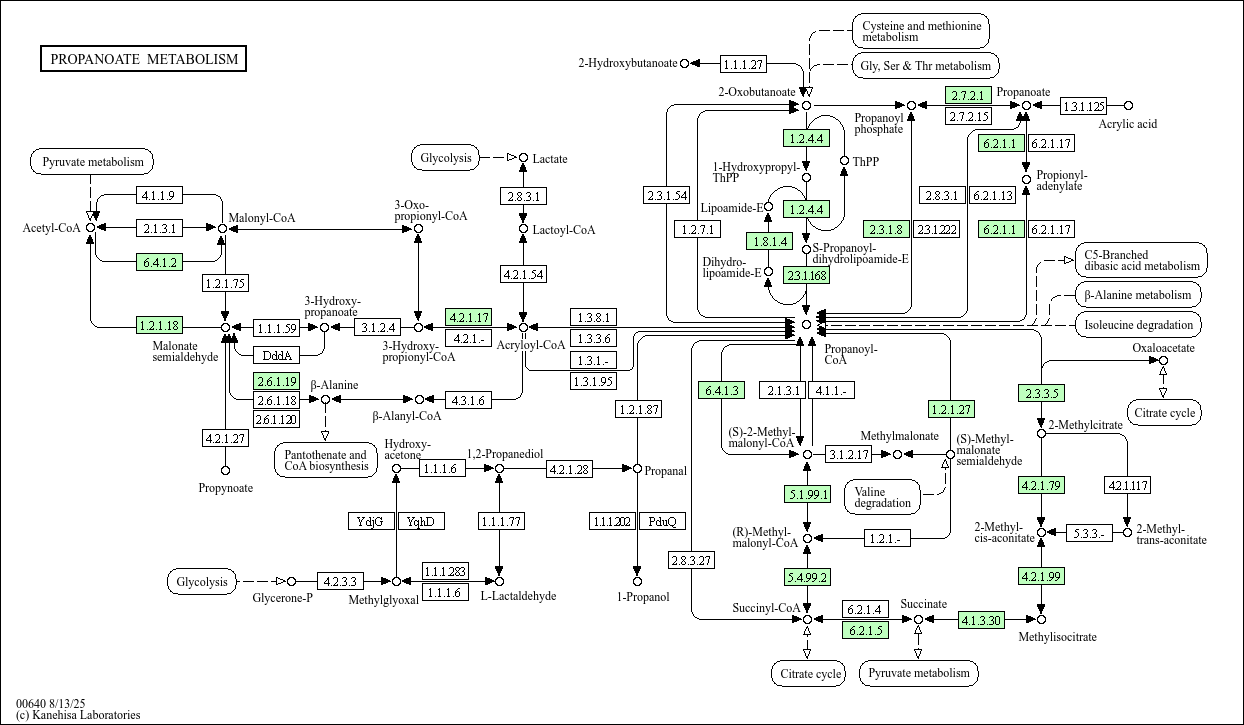 Propanoate metabolism