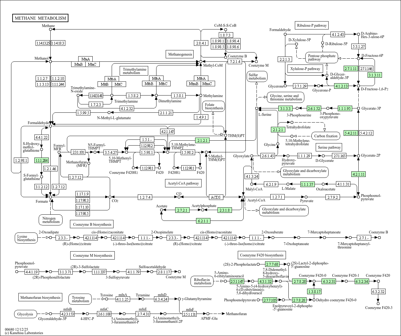 Methane metabolism