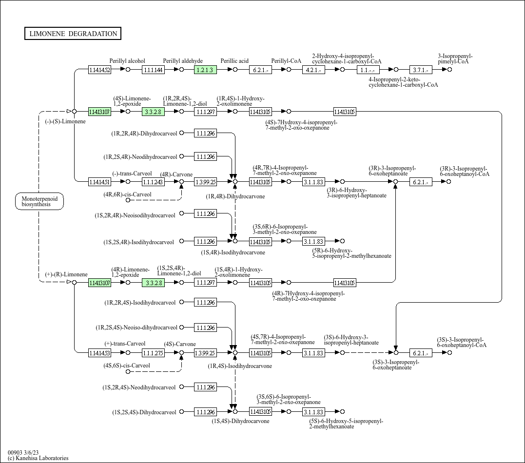 Limonene and pinene degradation