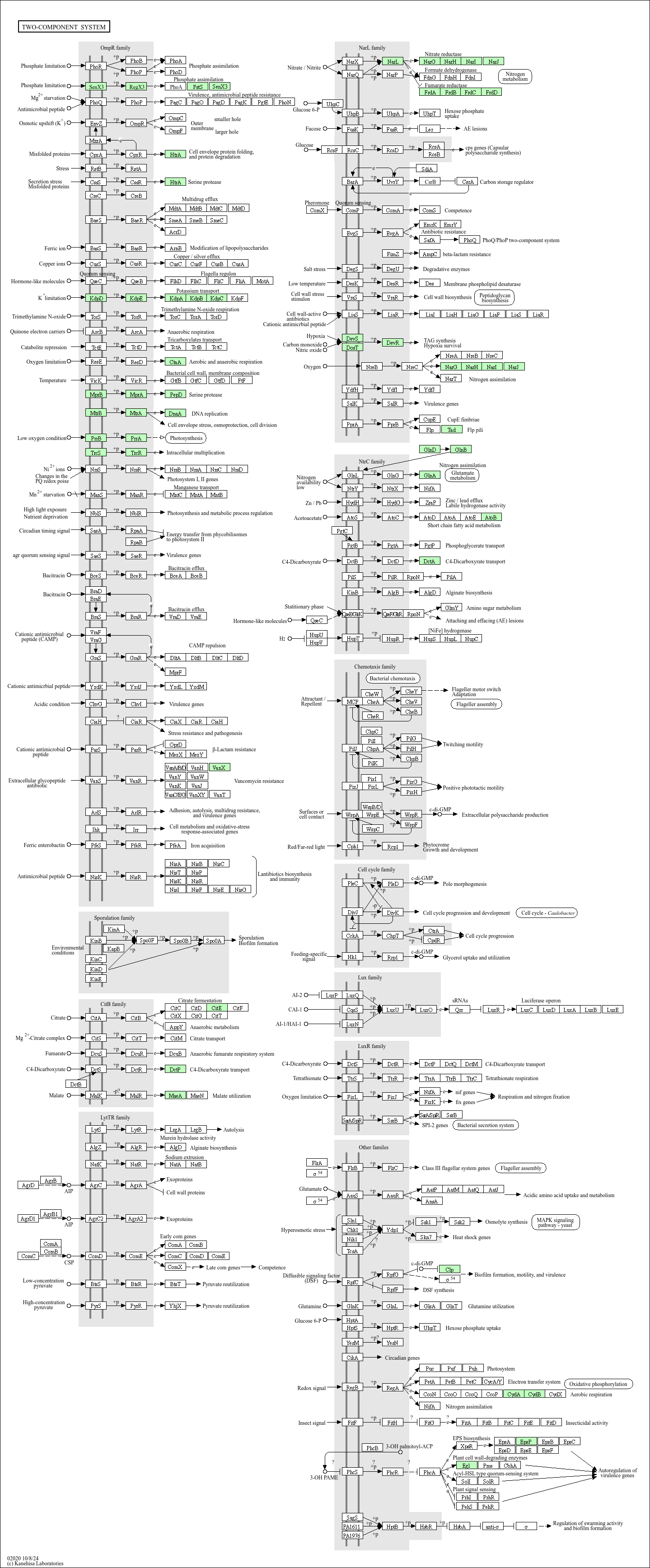 Two-component system