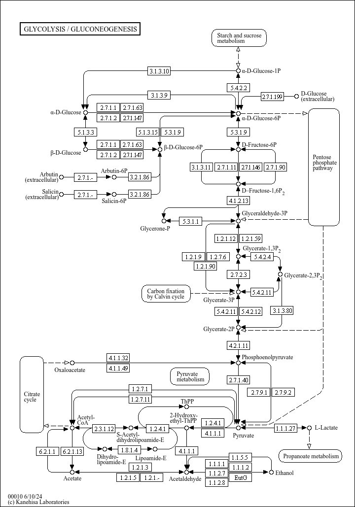 path:map00010/image